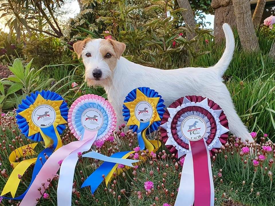 De La Vallée Du Bois Riou - Championne du Luxembourg 