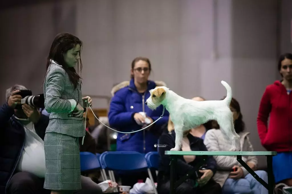 De La Vallée Du Bois Riou - BREIZHY À LA CRUFTS 