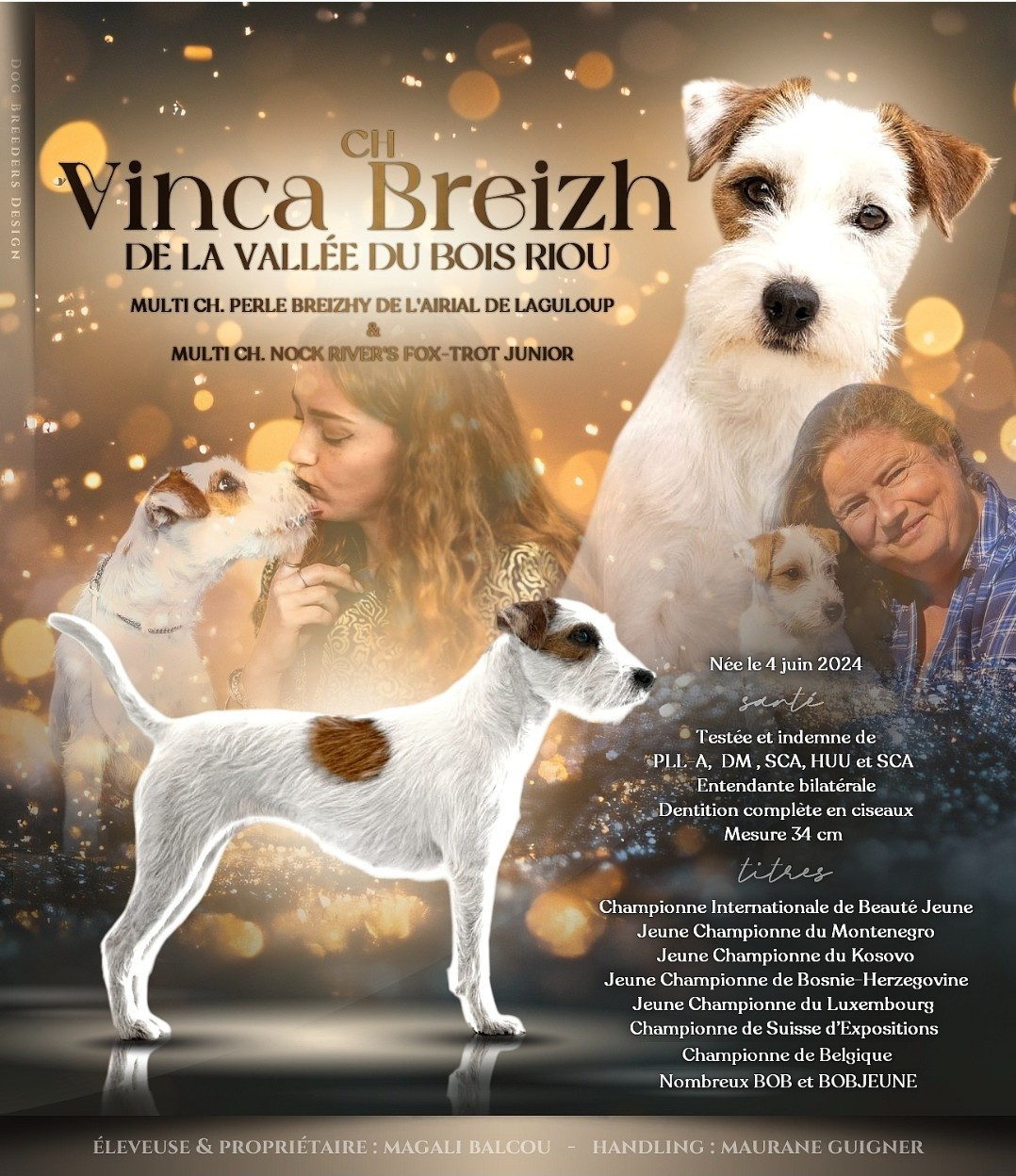 Une belle et formidable année pour VINCA