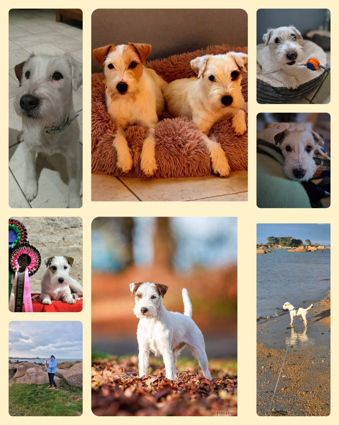 PROGRAMME : une année 2026 aussi belle que toutes les autres