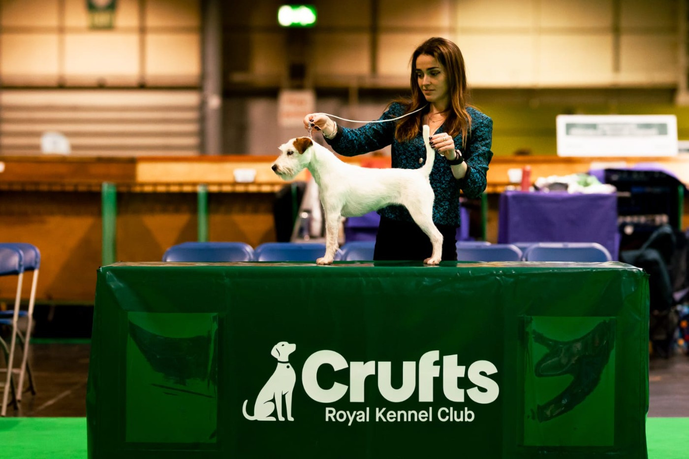 2ème classée à la Crufts